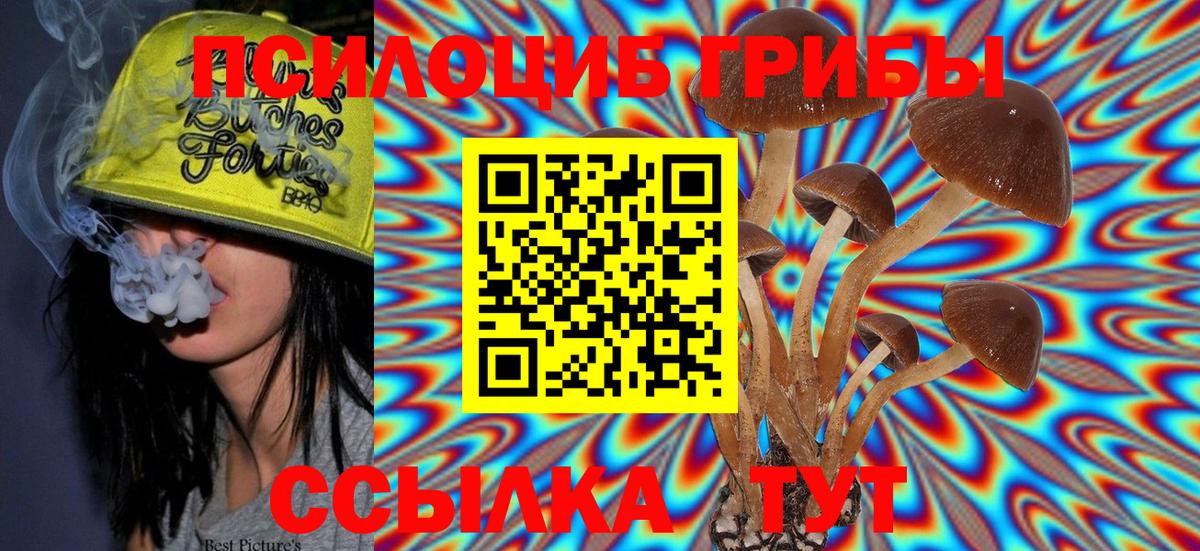 Галлюциногенные грибы Magic Shrooms Михайловка