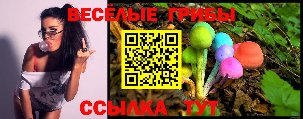 Псилоцибиновые грибы GOLDEN TEACHER  Вход с VPN  Михайловка 